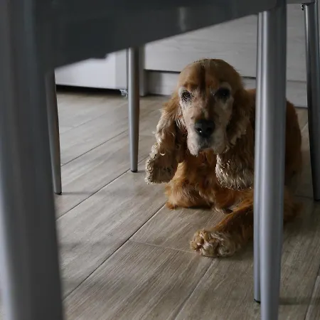 Baltic * Mielno (Koszalin)